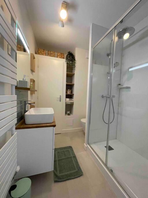 Cocon Douillet Pres De La Gare. Apartment Nancy Exterior foto